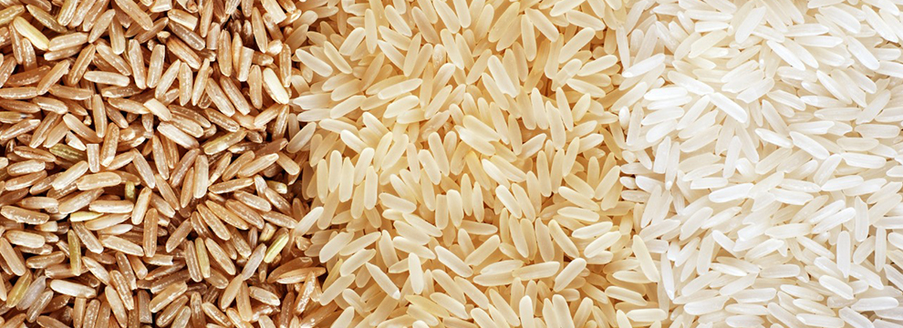 Brazilian rice export